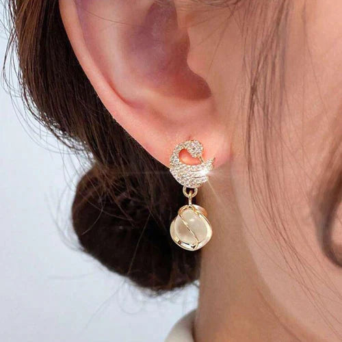 Cozy Crystal Swan Drop Earrings-1